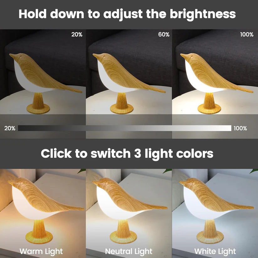 Rechargeable Bird Decorative Table Lamp,3 Color Modes